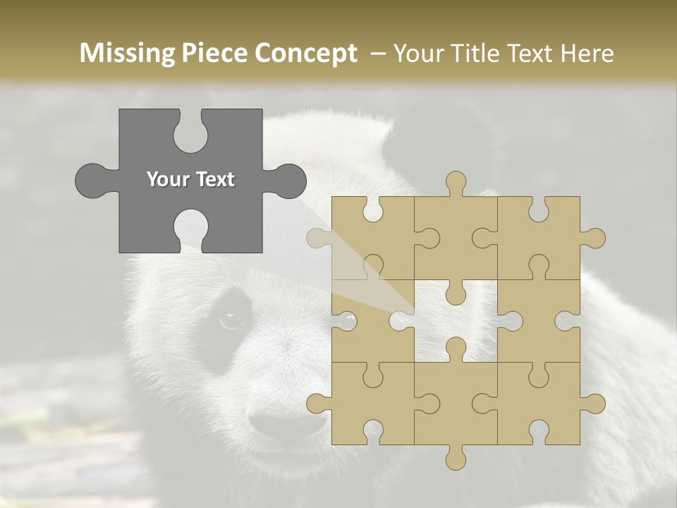 A Panda Bear Standing Next To Another Panda Bear PowerPoint Template