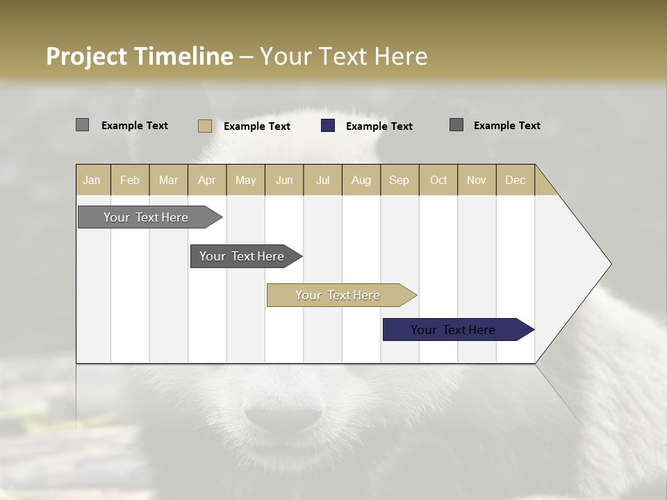 A Panda Bear Standing Next To Another Panda Bear PowerPoint Template