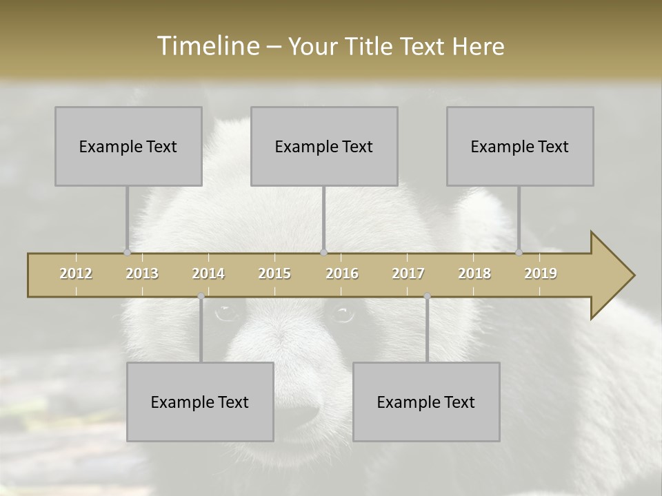 A Panda Bear Standing Next To Another Panda Bear PowerPoint Template