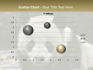 A Panda Bear Standing Next To Another Panda Bear PowerPoint Template