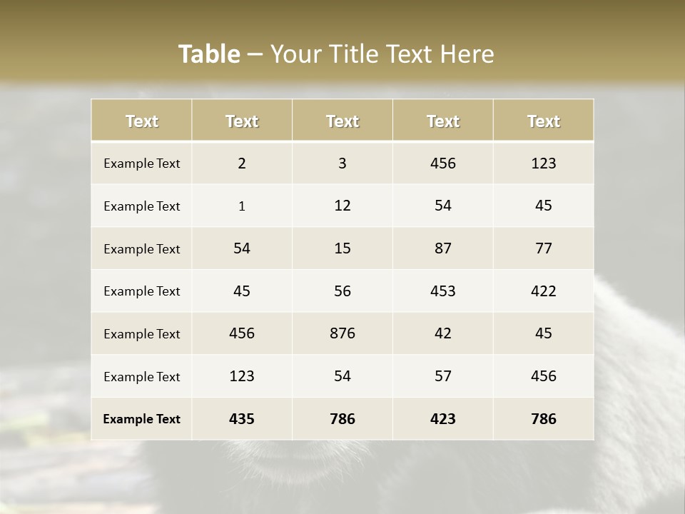 A Panda Bear Standing Next To Another Panda Bear PowerPoint Template