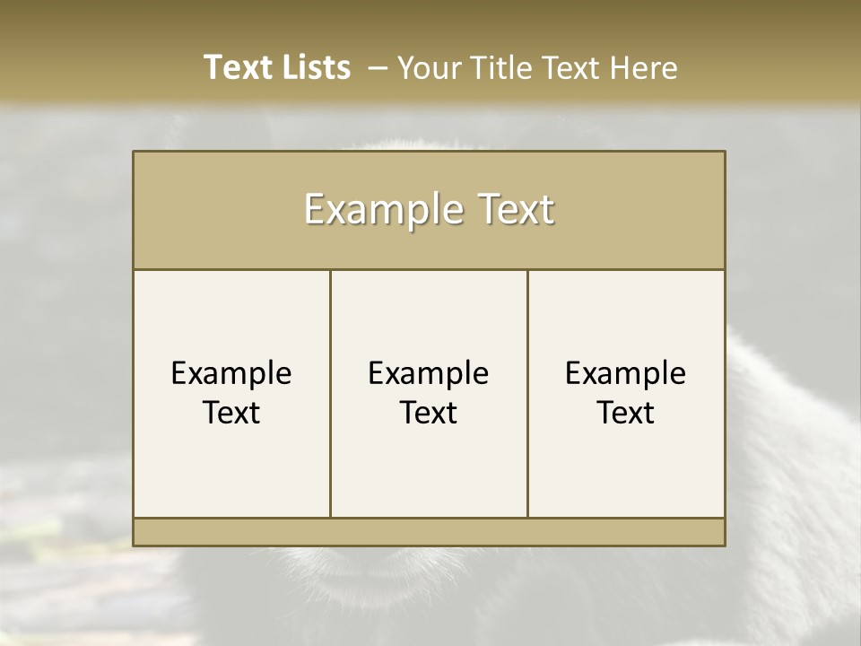 A Panda Bear Standing Next To Another Panda Bear PowerPoint Template