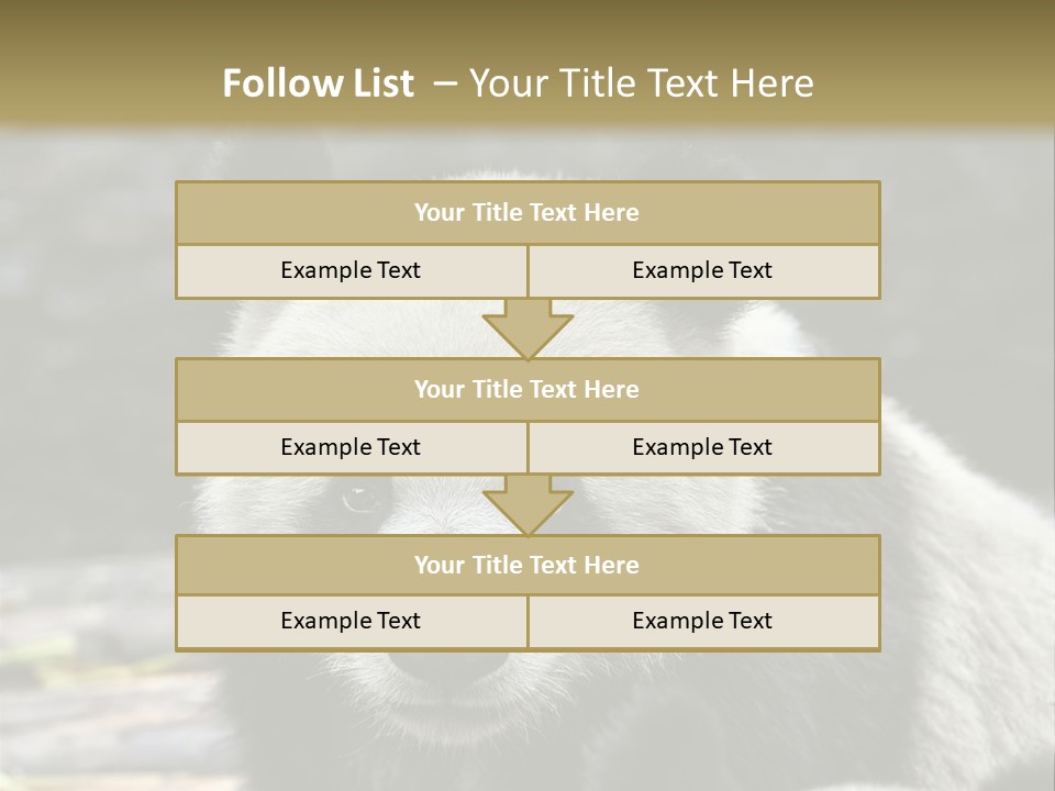 A Panda Bear Standing Next To Another Panda Bear PowerPoint Template