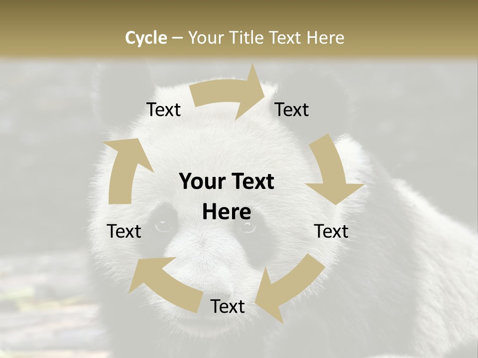 A Panda Bear Standing Next To Another Panda Bear PowerPoint Template