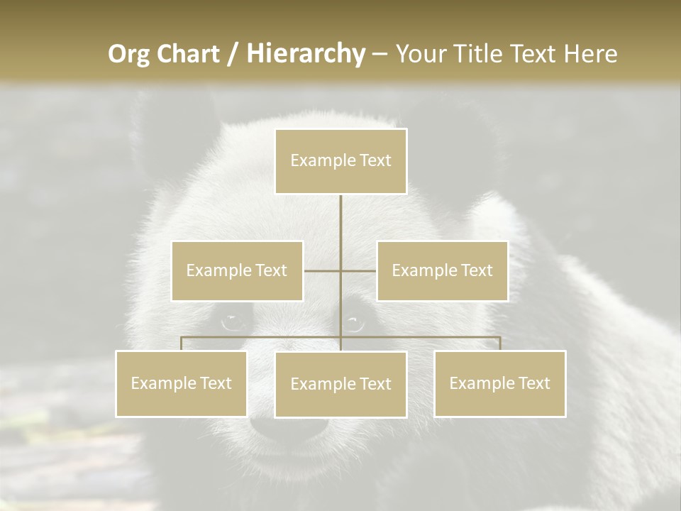 A Panda Bear Standing Next To Another Panda Bear PowerPoint Template