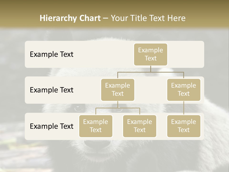 A Panda Bear Standing Next To Another Panda Bear PowerPoint Template