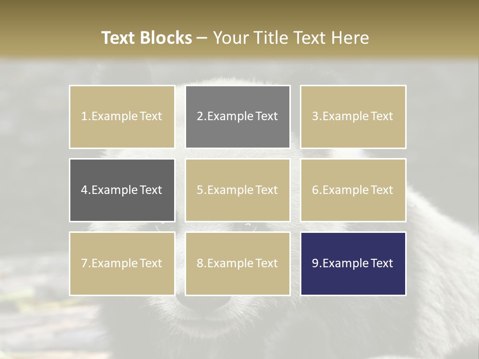 A Panda Bear Standing Next To Another Panda Bear PowerPoint Template