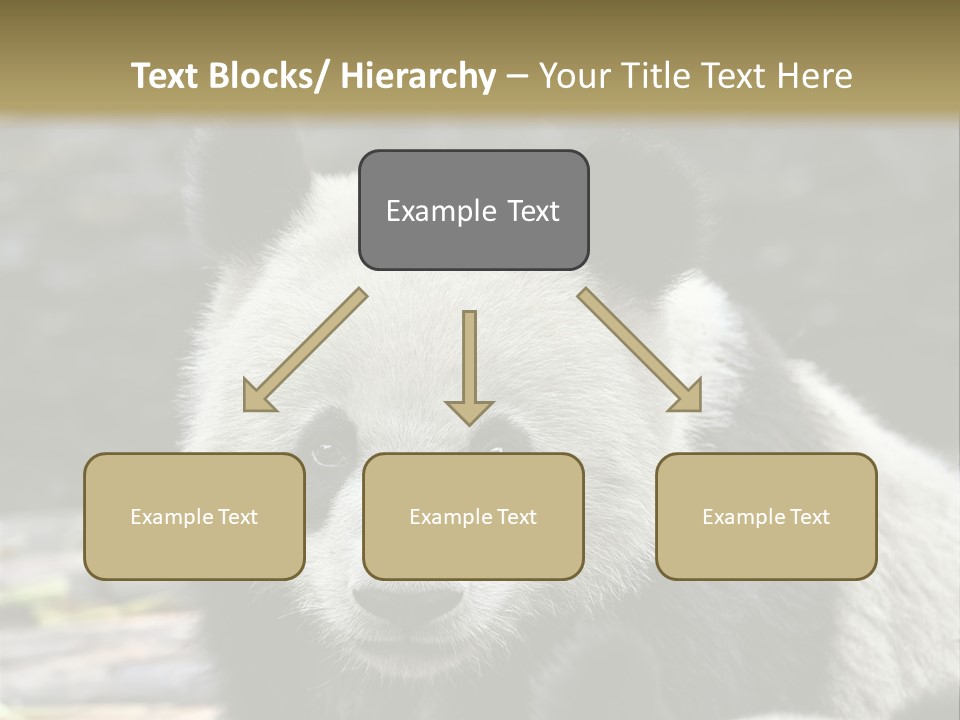 A Panda Bear Standing Next To Another Panda Bear PowerPoint Template