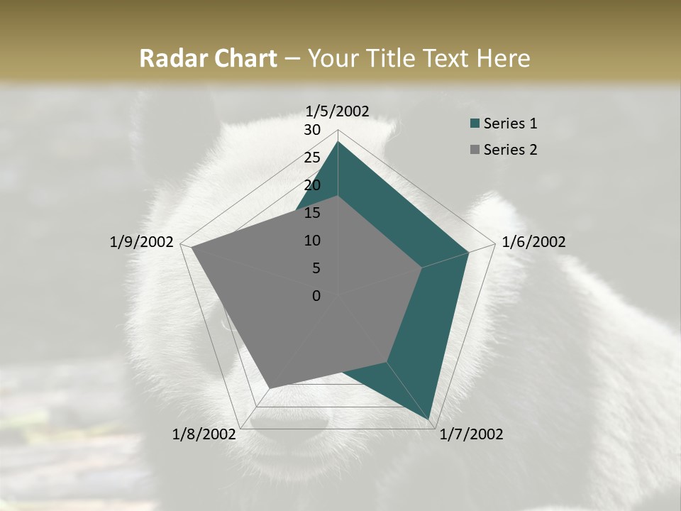 A Panda Bear Standing Next To Another Panda Bear PowerPoint Template