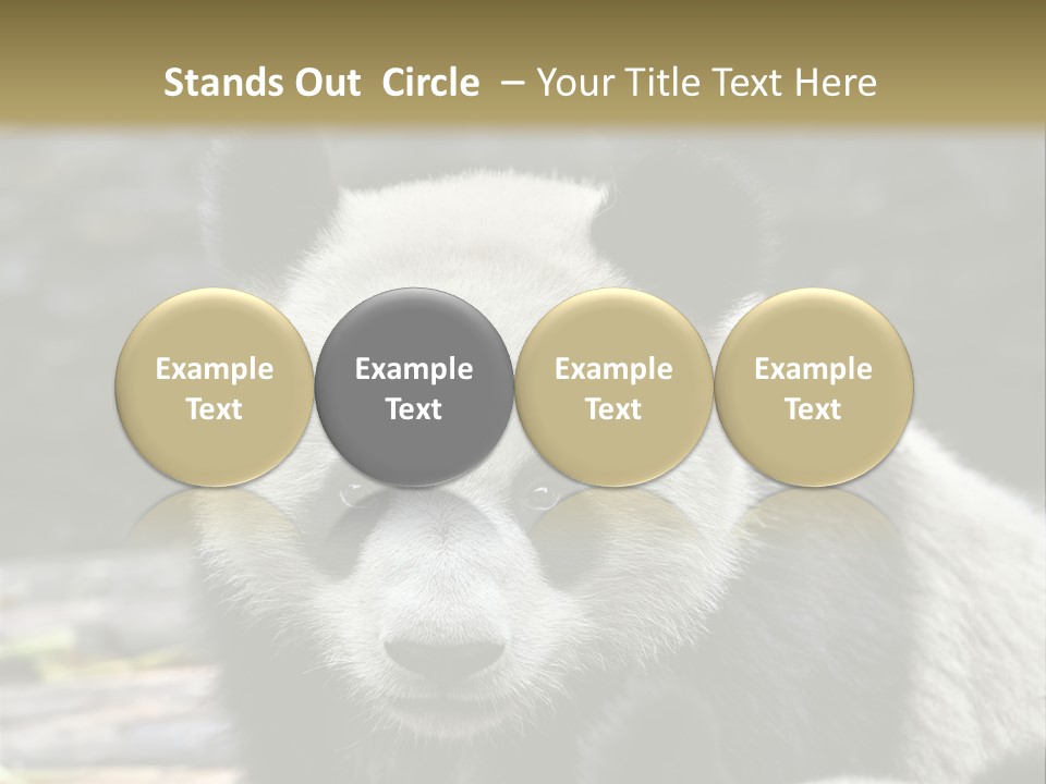 A Panda Bear Standing Next To Another Panda Bear PowerPoint Template