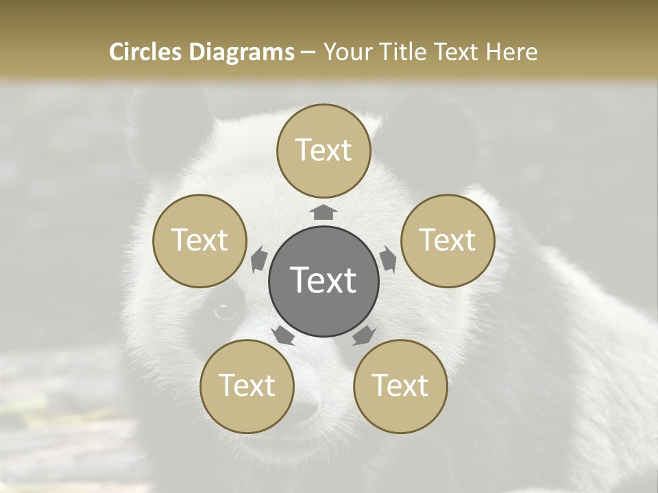 A Panda Bear Standing Next To Another Panda Bear PowerPoint Template