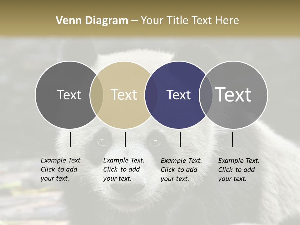 A Panda Bear Standing Next To Another Panda Bear PowerPoint Template