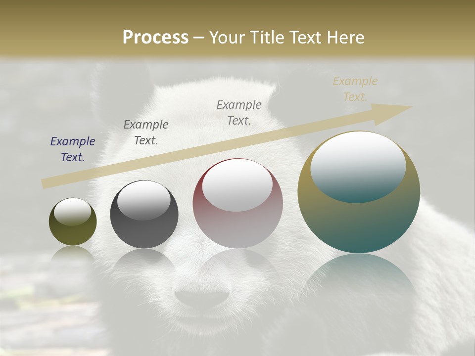 A Panda Bear Standing Next To Another Panda Bear PowerPoint Template