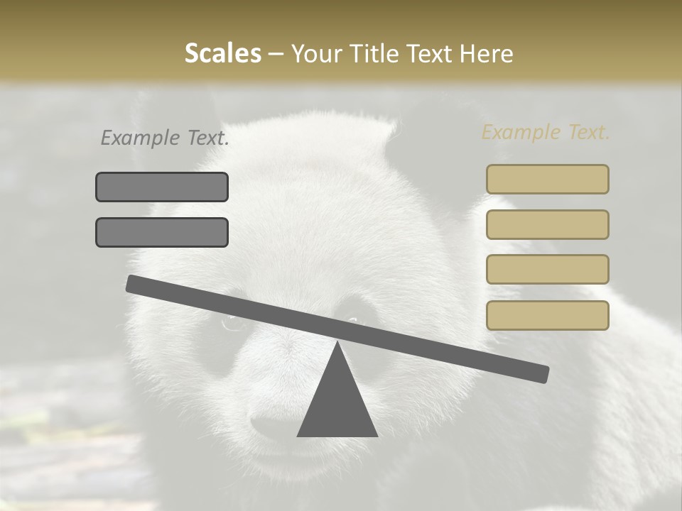 A Panda Bear Standing Next To Another Panda Bear PowerPoint Template