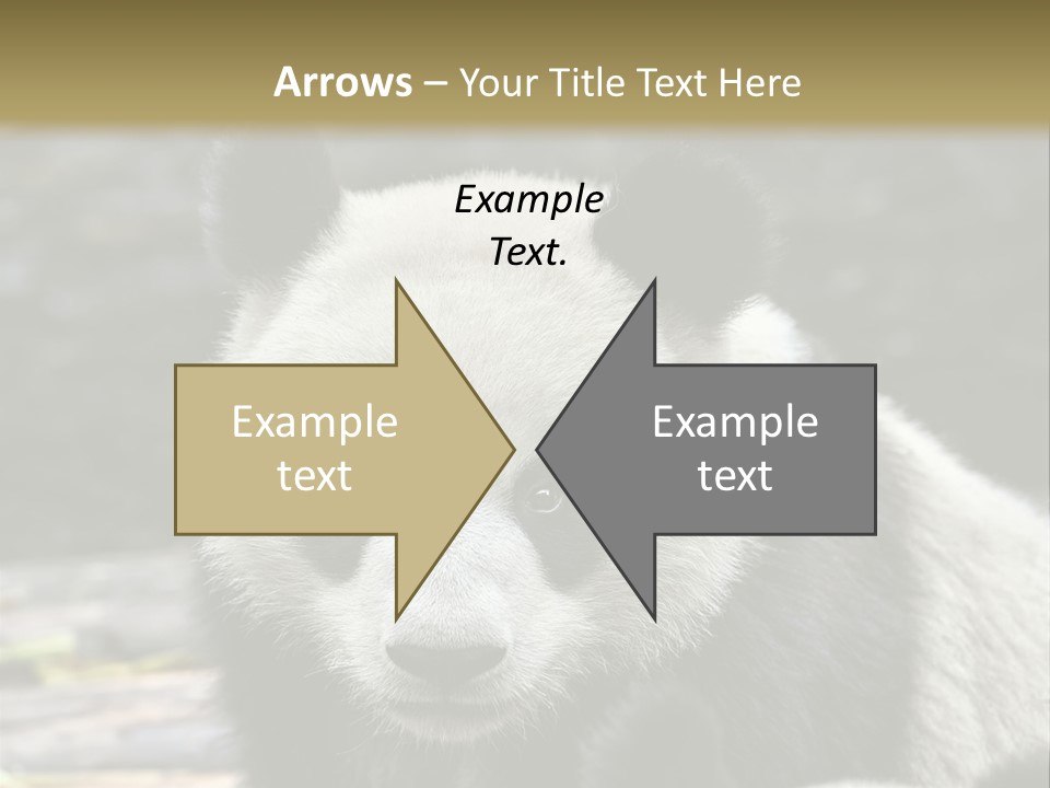 A Panda Bear Standing Next To Another Panda Bear PowerPoint Template