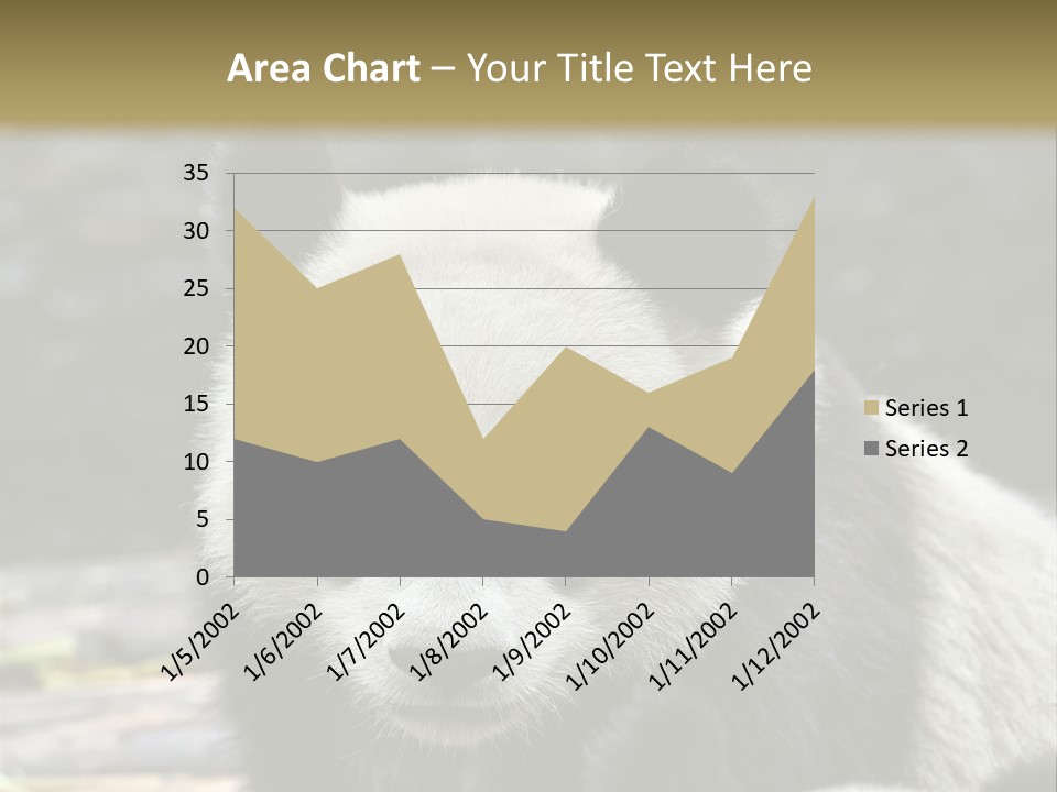 A Panda Bear Standing Next To Another Panda Bear PowerPoint Template