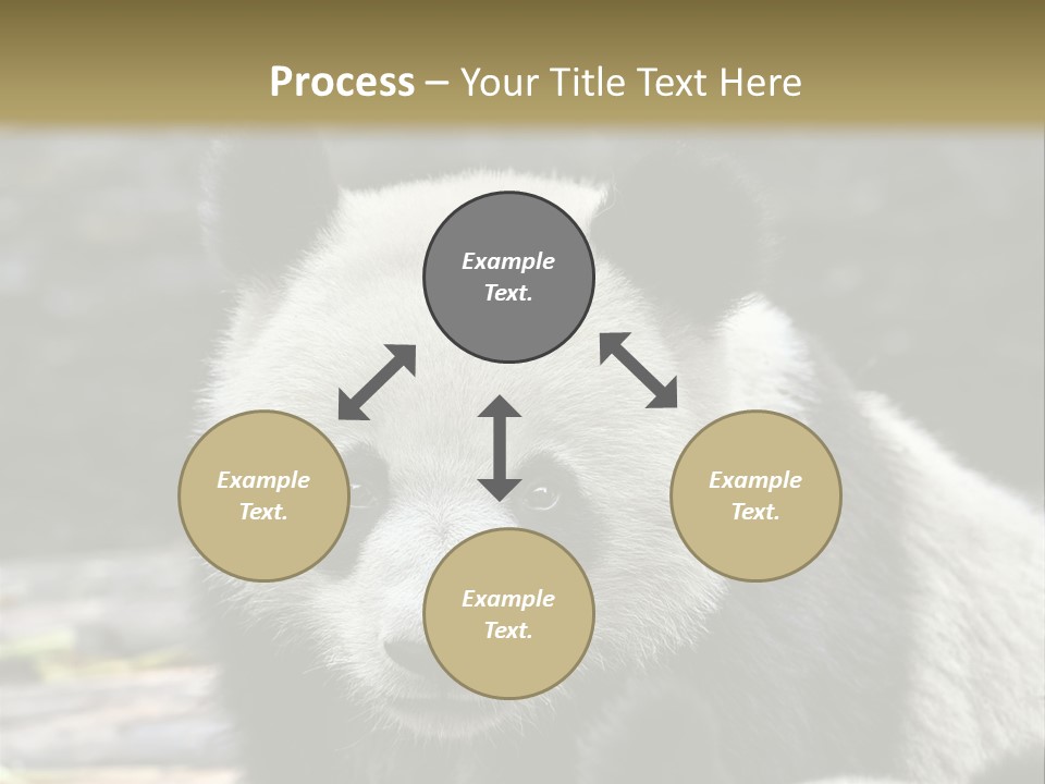 A Panda Bear Standing Next To Another Panda Bear PowerPoint Template