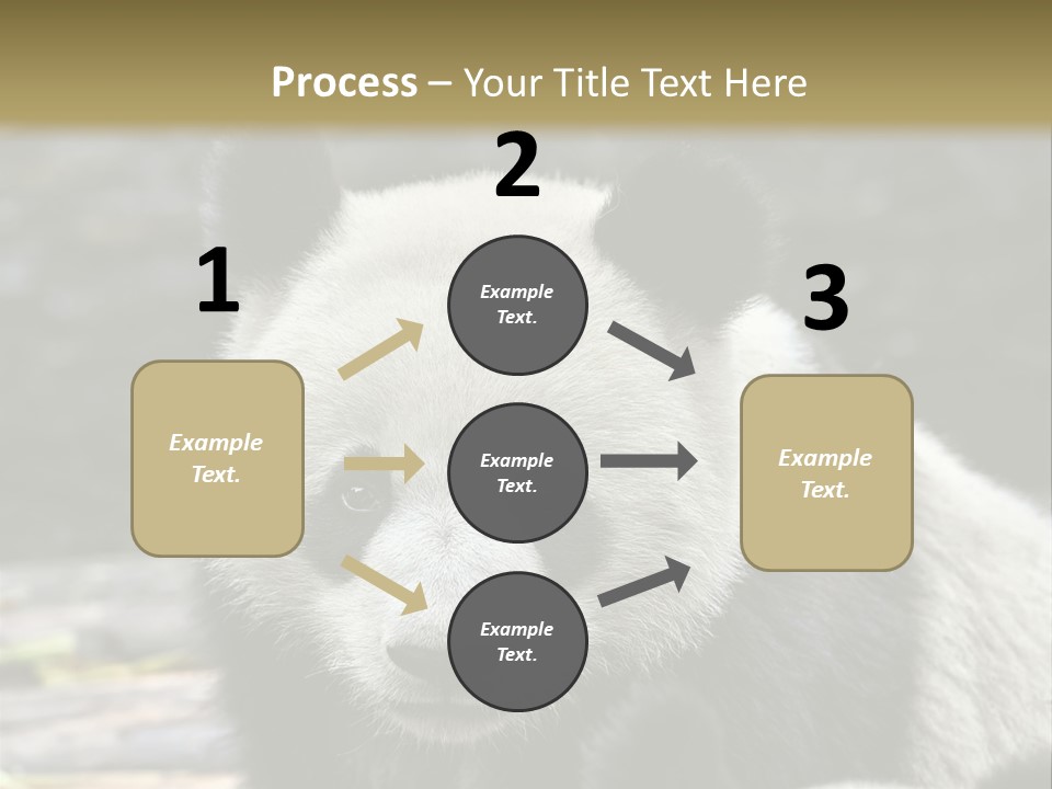 A Panda Bear Standing Next To Another Panda Bear PowerPoint Template