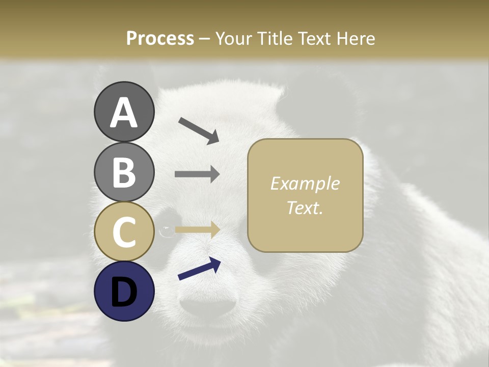 A Panda Bear Standing Next To Another Panda Bear PowerPoint Template
