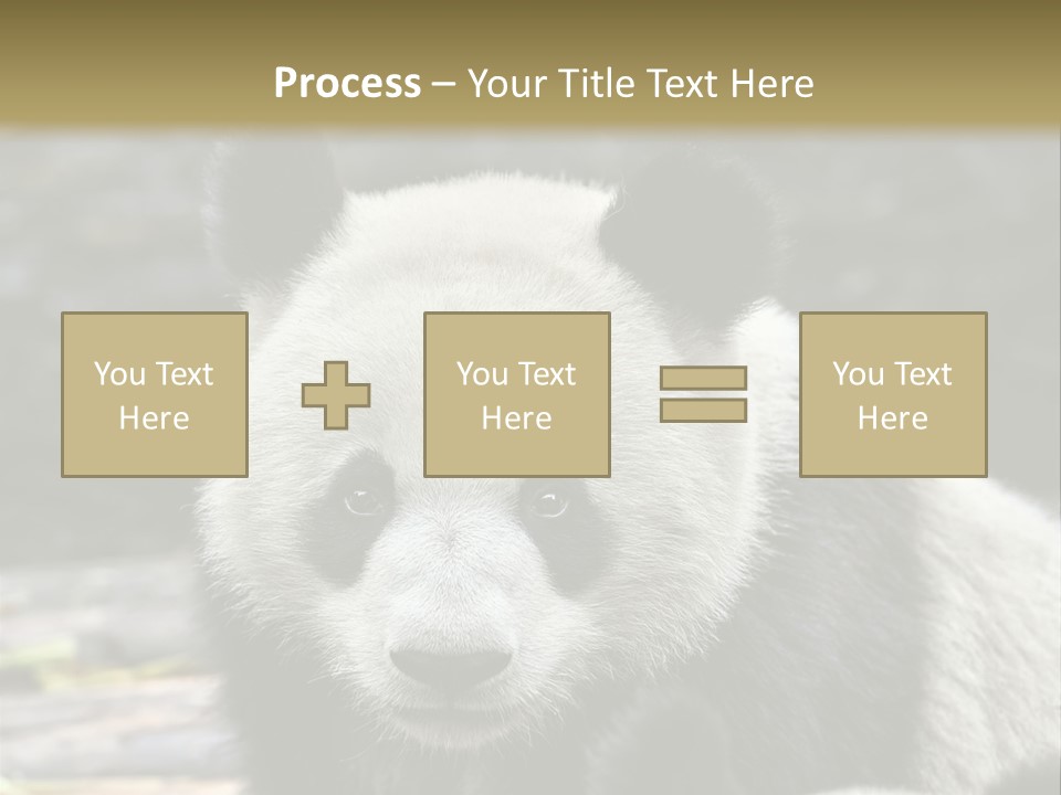 A Panda Bear Standing Next To Another Panda Bear PowerPoint Template