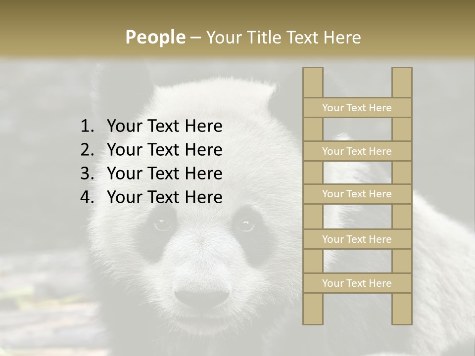 A Panda Bear Standing Next To Another Panda Bear PowerPoint Template