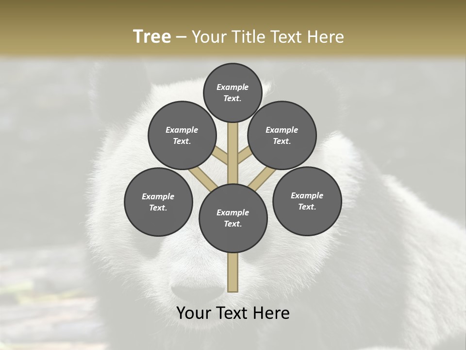 A Panda Bear Standing Next To Another Panda Bear PowerPoint Template