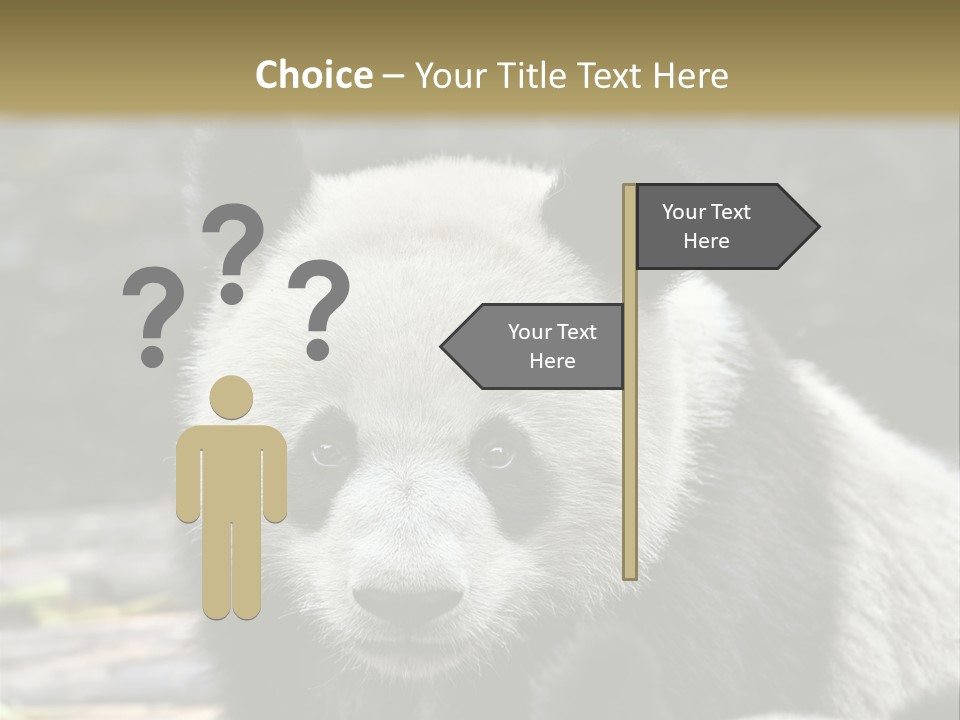 A Panda Bear Standing Next To Another Panda Bear PowerPoint Template