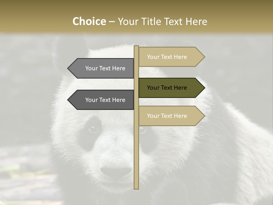A Panda Bear Standing Next To Another Panda Bear PowerPoint Template