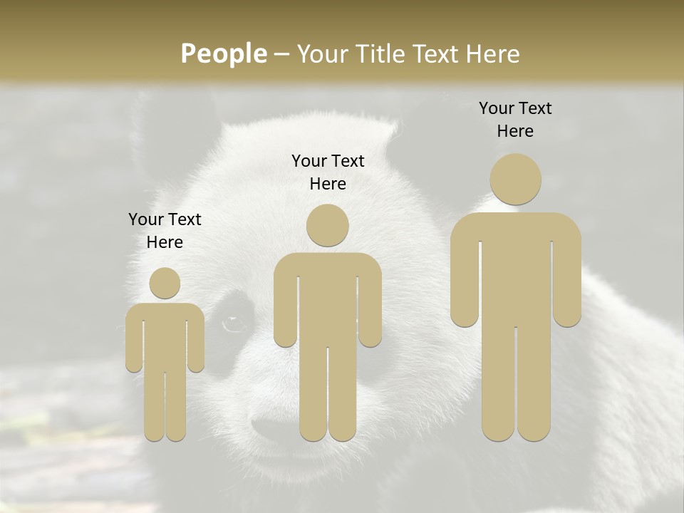 A Panda Bear Standing Next To Another Panda Bear PowerPoint Template