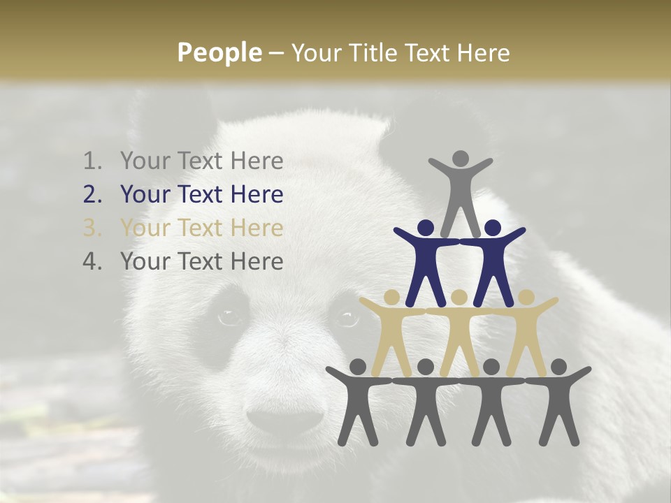 A Panda Bear Standing Next To Another Panda Bear PowerPoint Template