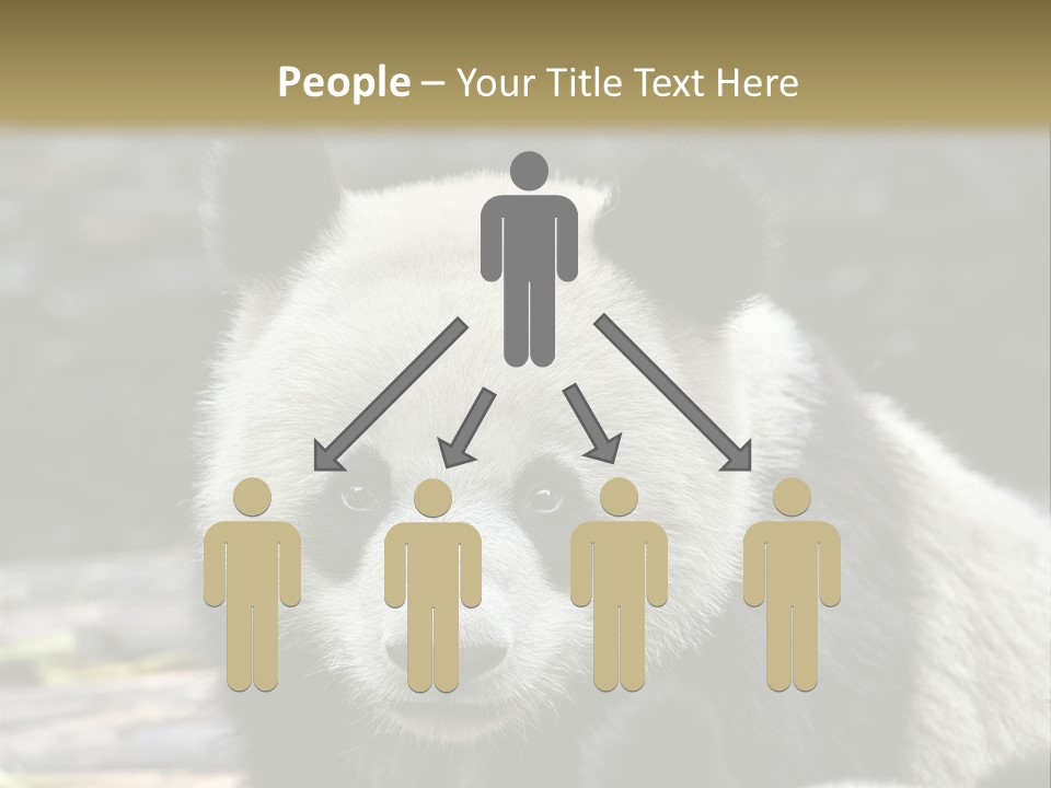 A Panda Bear Standing Next To Another Panda Bear PowerPoint Template