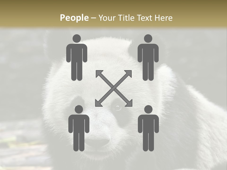 A Panda Bear Standing Next To Another Panda Bear PowerPoint Template