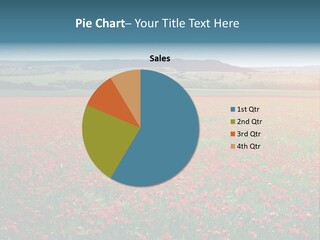 A Field Full Of Red Flowers With A Sky Background PowerPoint Template