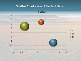 A Field Full Of Red Flowers With A Sky Background PowerPoint Template