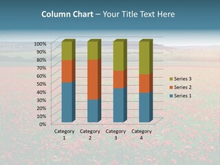 A Field Full Of Red Flowers With A Sky Background PowerPoint Template