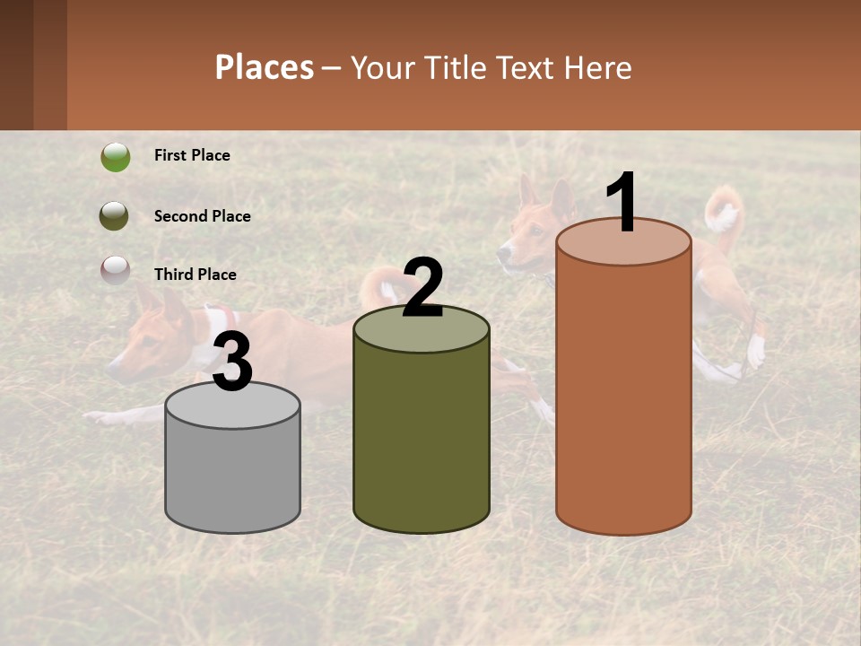 Two Dogs Running In A Field Powerpoint Template PowerPoint Template