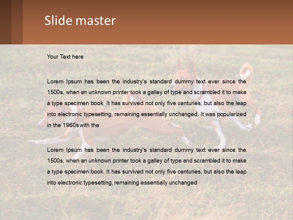 Two Dogs Running In A Field Powerpoint Template PowerPoint Template