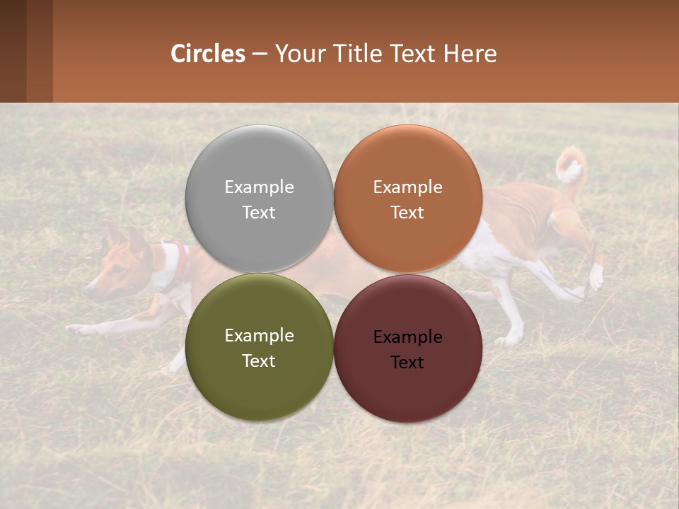 Two Dogs Running In A Field Powerpoint Template PowerPoint Template