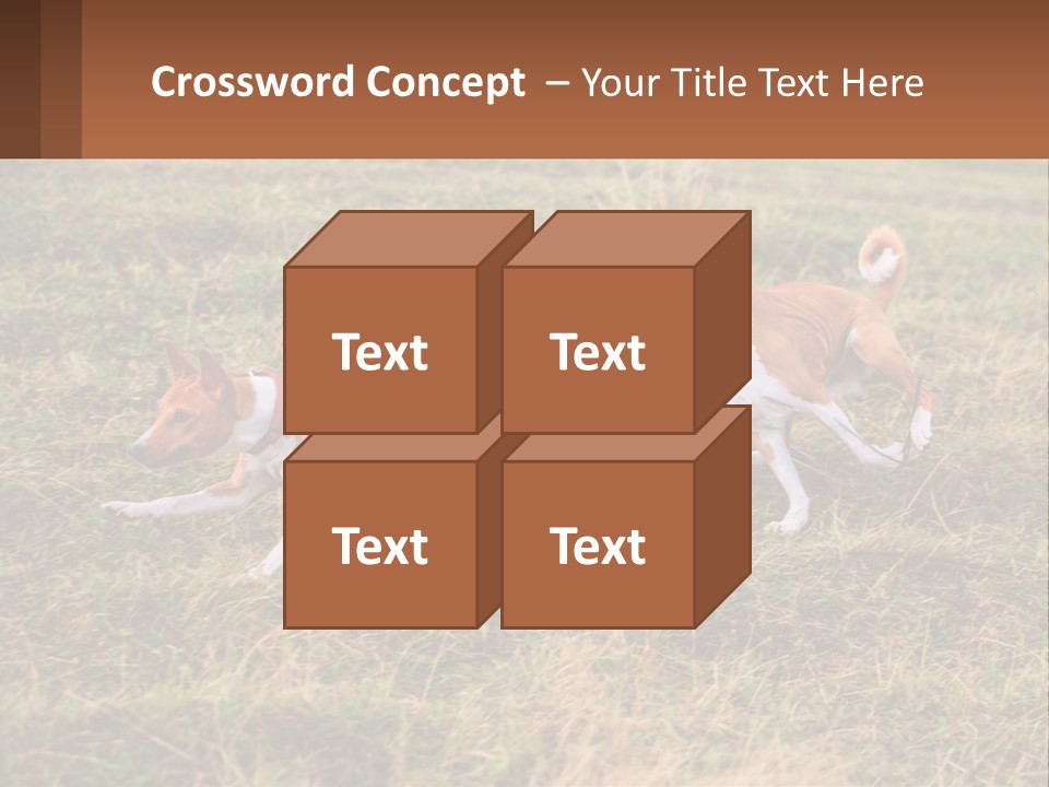 Two Dogs Running In A Field Powerpoint Template PowerPoint Template
