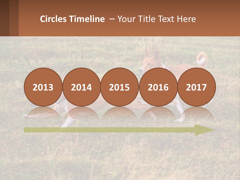 Two Dogs Running In A Field Powerpoint Template PowerPoint Template