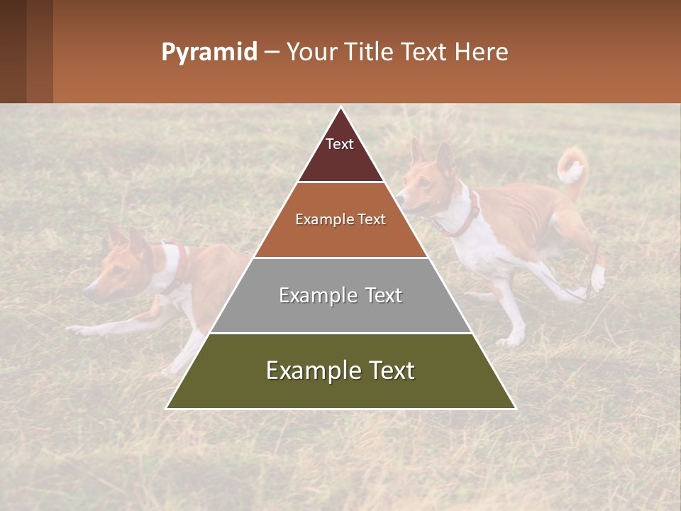 Two Dogs Running In A Field Powerpoint Template PowerPoint Template