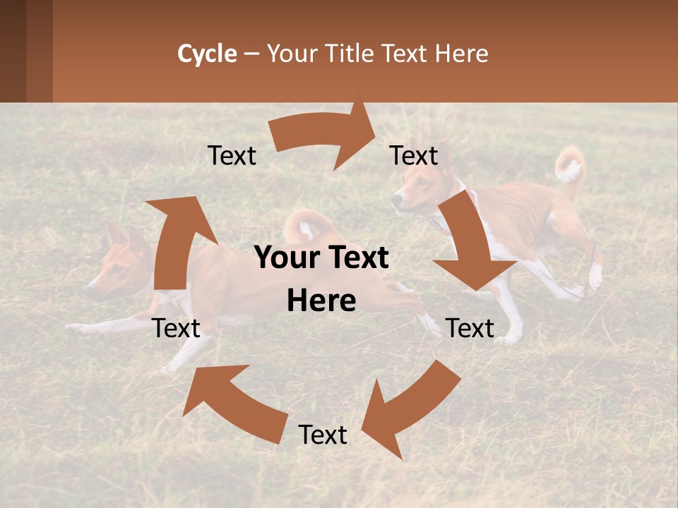 Two Dogs Running In A Field Powerpoint Template PowerPoint Template