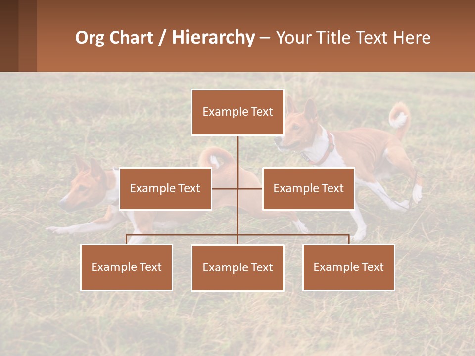 Two Dogs Running In A Field Powerpoint Template PowerPoint Template