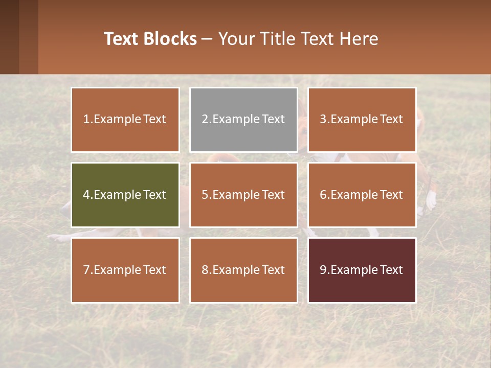 Two Dogs Running In A Field Powerpoint Template PowerPoint Template