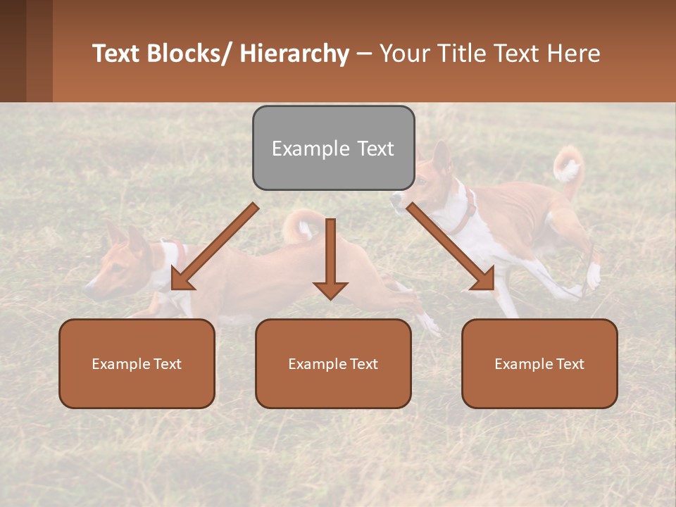 Two Dogs Running In A Field Powerpoint Template PowerPoint Template