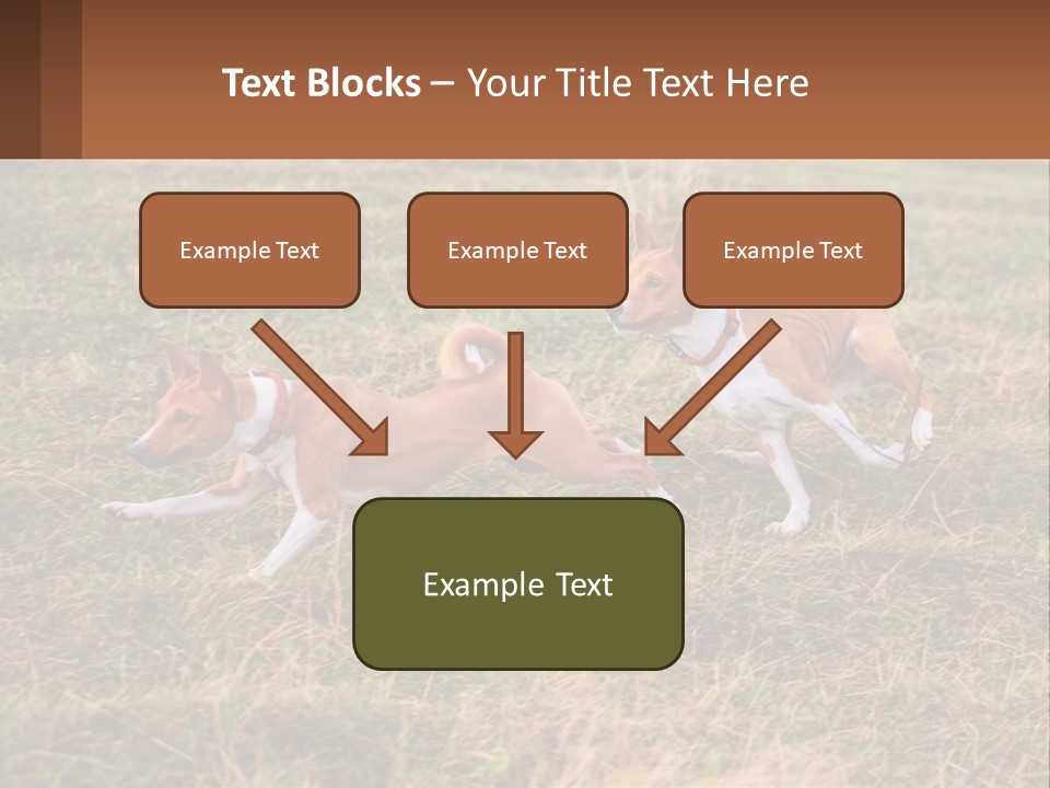 Two Dogs Running In A Field Powerpoint Template PowerPoint Template