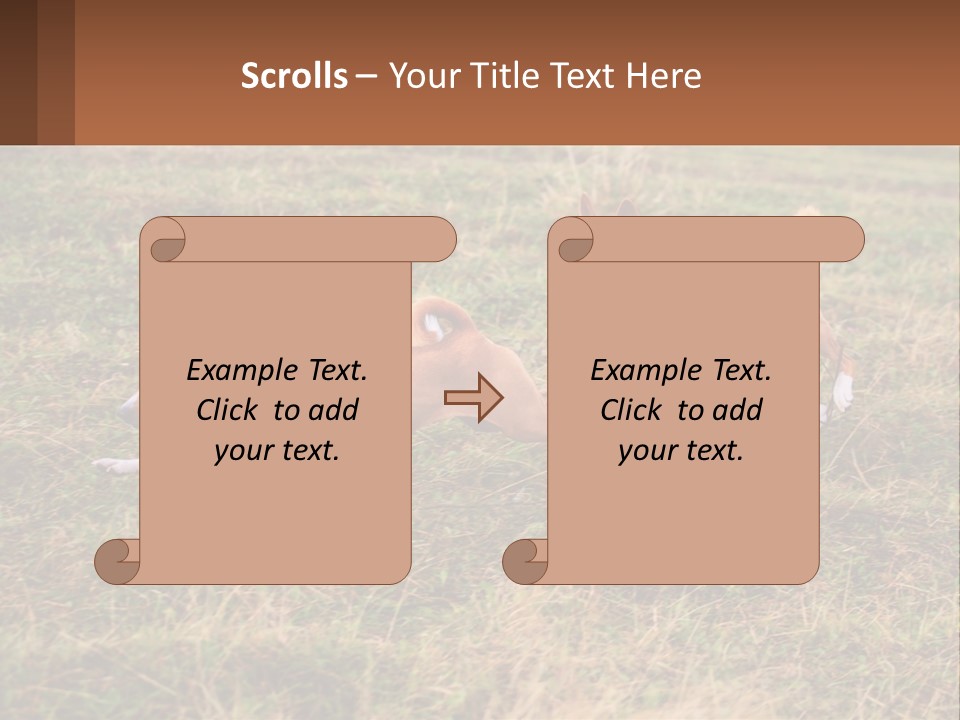 Two Dogs Running In A Field Powerpoint Template PowerPoint Template