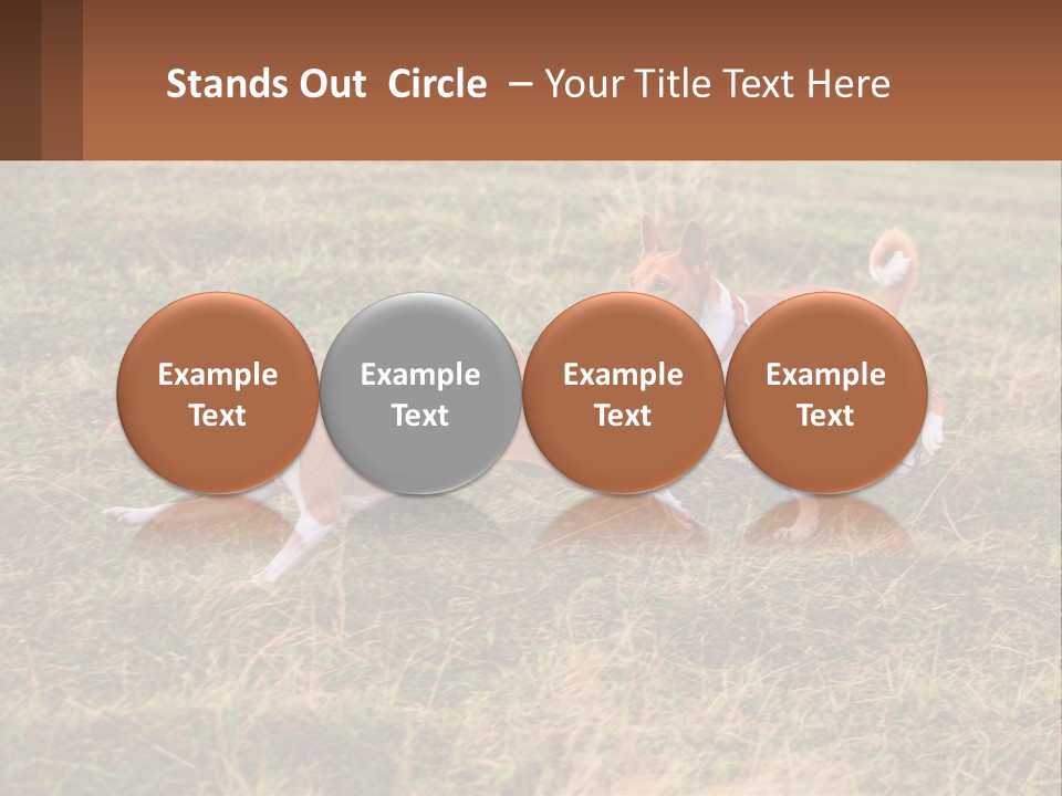 Two Dogs Running In A Field Powerpoint Template PowerPoint Template