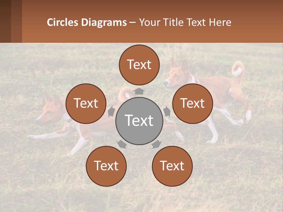 Two Dogs Running In A Field Powerpoint Template PowerPoint Template