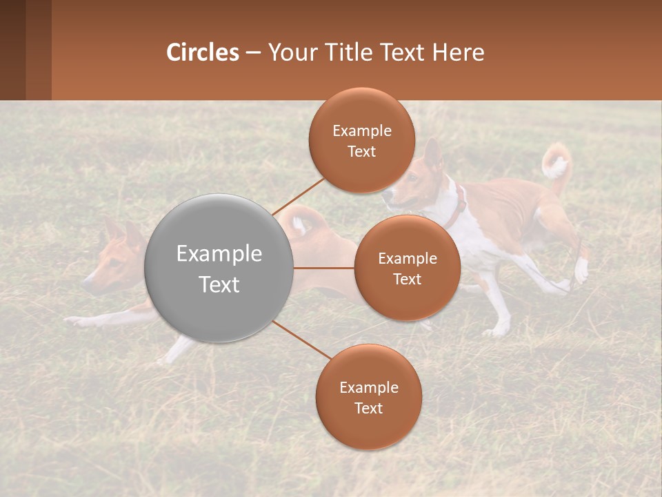 Two Dogs Running In A Field Powerpoint Template PowerPoint Template